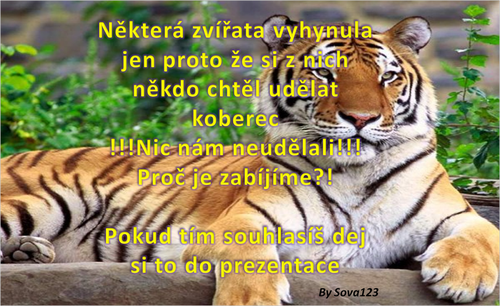 chudáčci